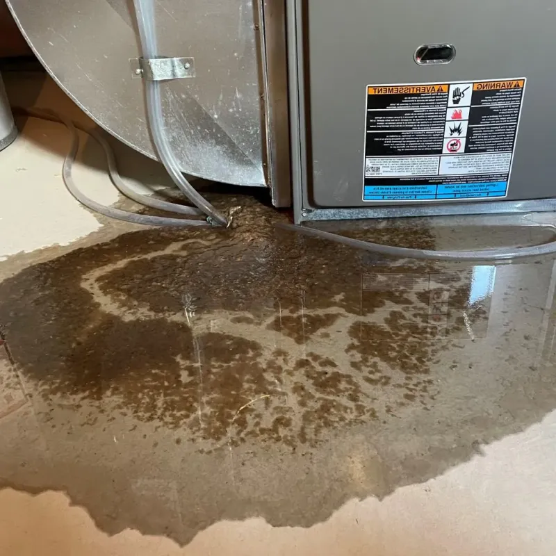 Pipe Burst and Leak Restoration in Clarks Green, PA