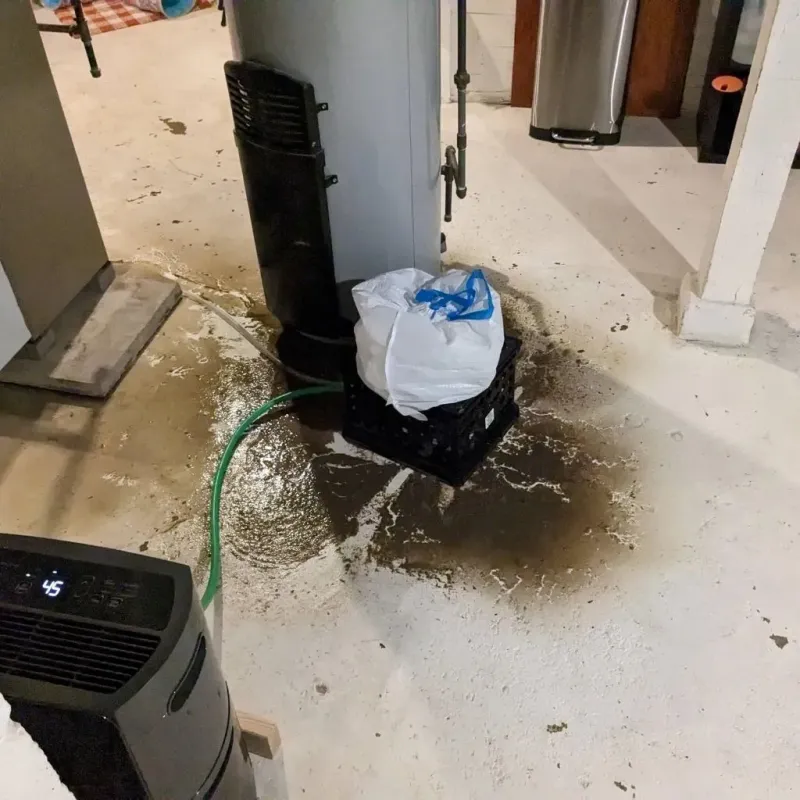Sewage Backup Cleanup Service in Clarks Green, PA